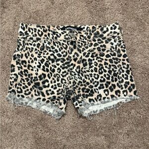 Express Leopard Print Women's Shorts